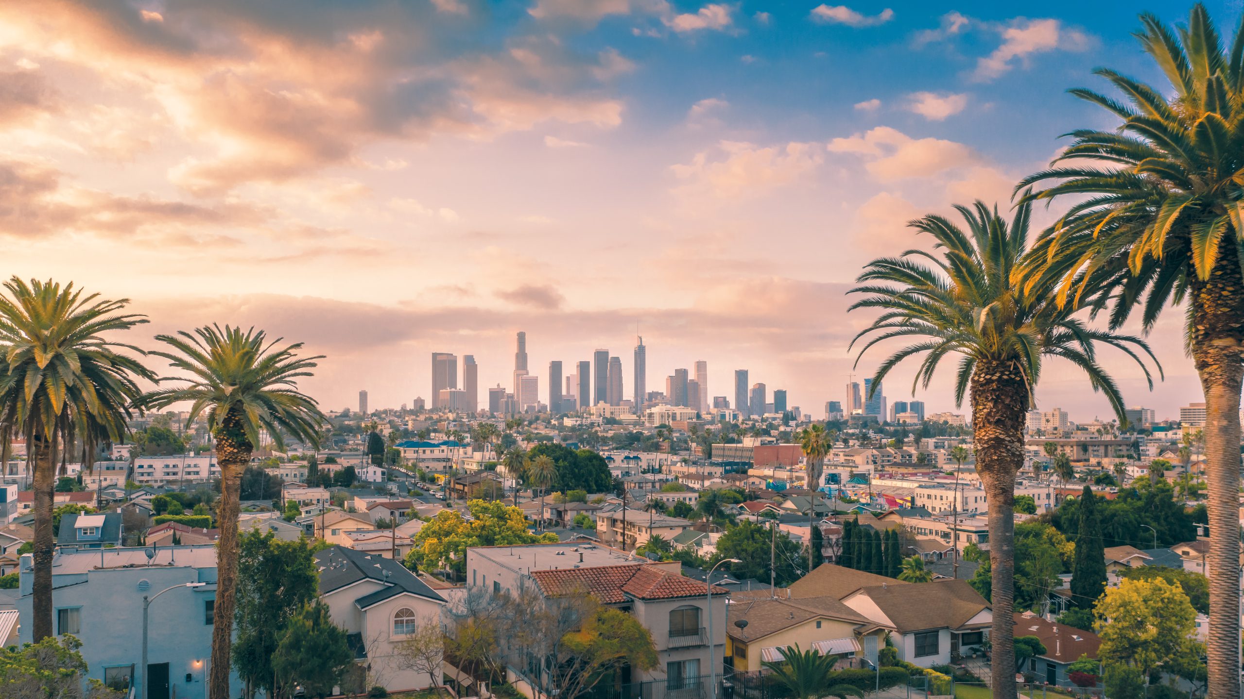 Los Angeles panoramic view